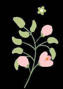 顏值滿分，漢中這里的薔薇花開啦
