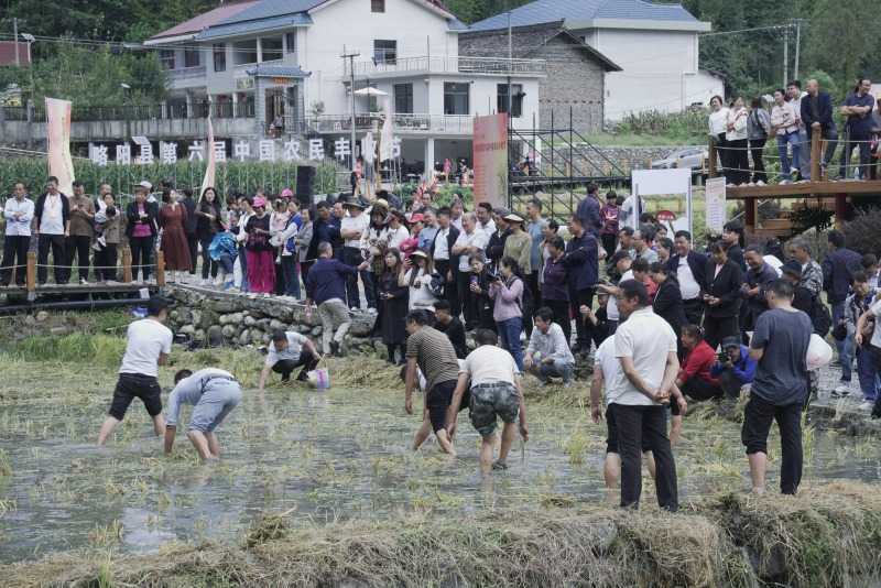 慶豐收，促和美 | 略陽縣第六屆中國農(nóng)民豐收節(jié)開幕