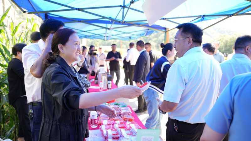 慶豐收，促和美 | 略陽縣第六屆中國農(nóng)民豐收節(jié)開幕