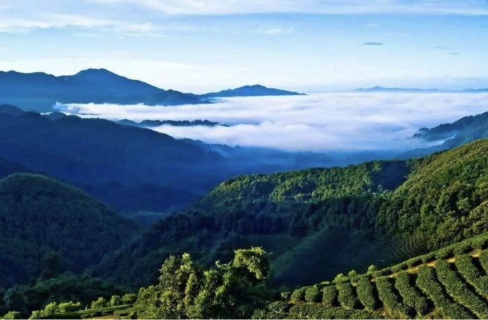 詩意鎮(zhèn)巴！這條醉美旅游線路私藏了萬千田園風光！