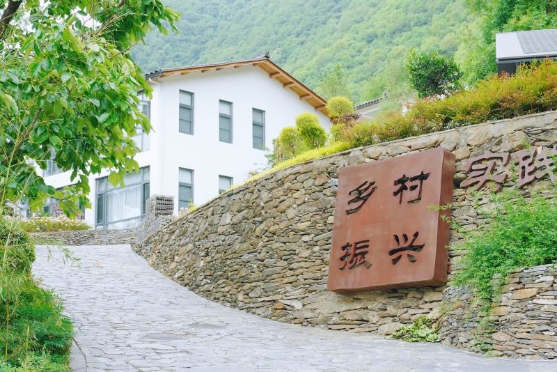 “綠色山鄉(xiāng) 美好畫卷”中省市媒體和網(wǎng)絡(luò)媒體系列采訪活動在略陽啟動
