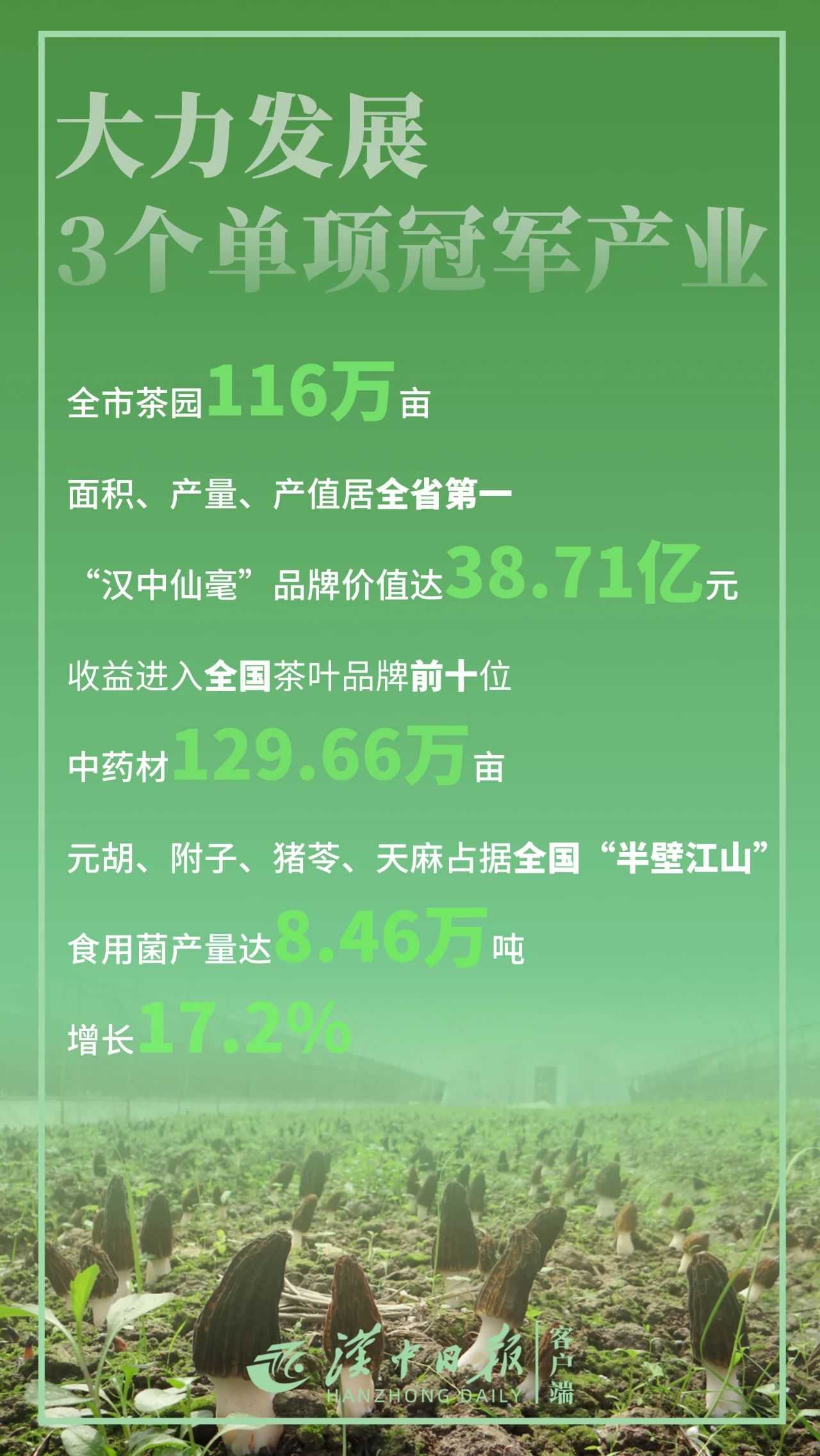 驕傲！帶你直擊漢中“成績(jī)單”！