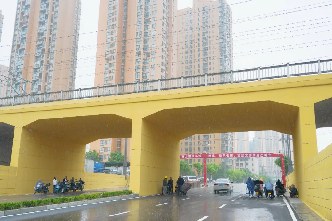 出行方便了！漢中興漢新區(qū)惠府路主車道通車！