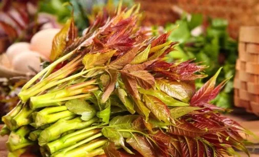 賞春花，吃春菜，把春天“吃進(jìn)肚子”