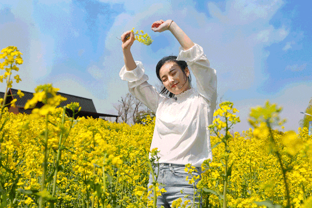 漢臺(tái)油菜花打破常規(guī)，“三色”組合，被驚艷到了！