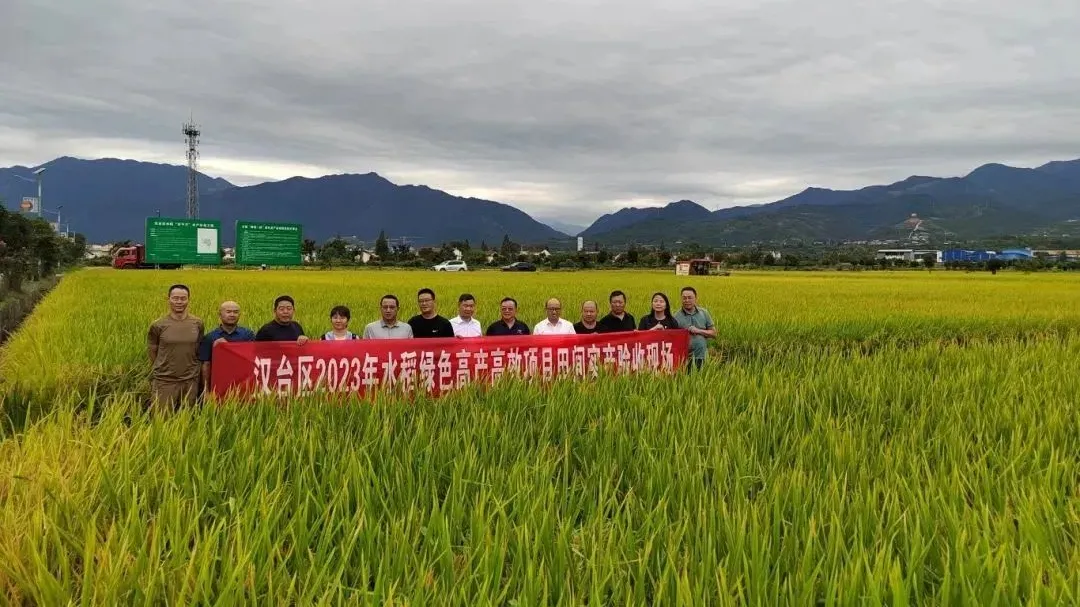 漢臺(tái)通過(guò)驗(yàn)收！平均畝產(chǎn)747.3公斤
