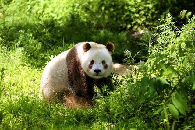聚焦“旅居在漢中”！這場網(wǎng)上新聞發(fā)布會說了啥？