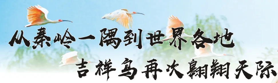 從秦嶺到世界！漢中創(chuàng)造生態(tài)奇跡！