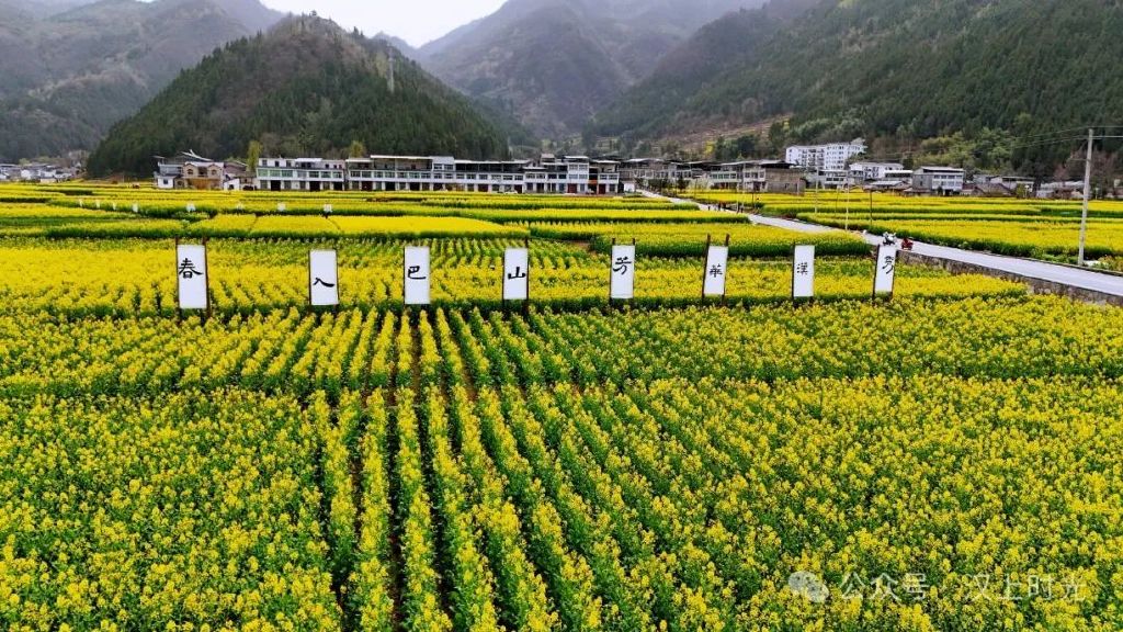鎮(zhèn)巴春日盛宴旅游攻略，讓這個春天不留遺憾！
