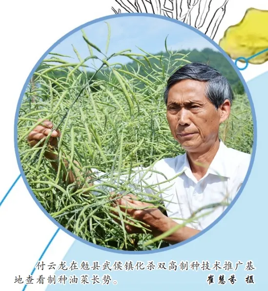 中國油菜的“漢中芯”！探尋背后硬核→