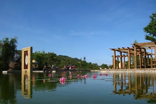 “櫻”你而來，“桃”你歡喜！西鄉(xiāng)櫻桃即將上市！