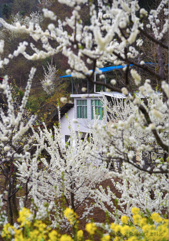 鎮(zhèn)巴春日盛宴旅游攻略，讓這個春天不留遺憾！