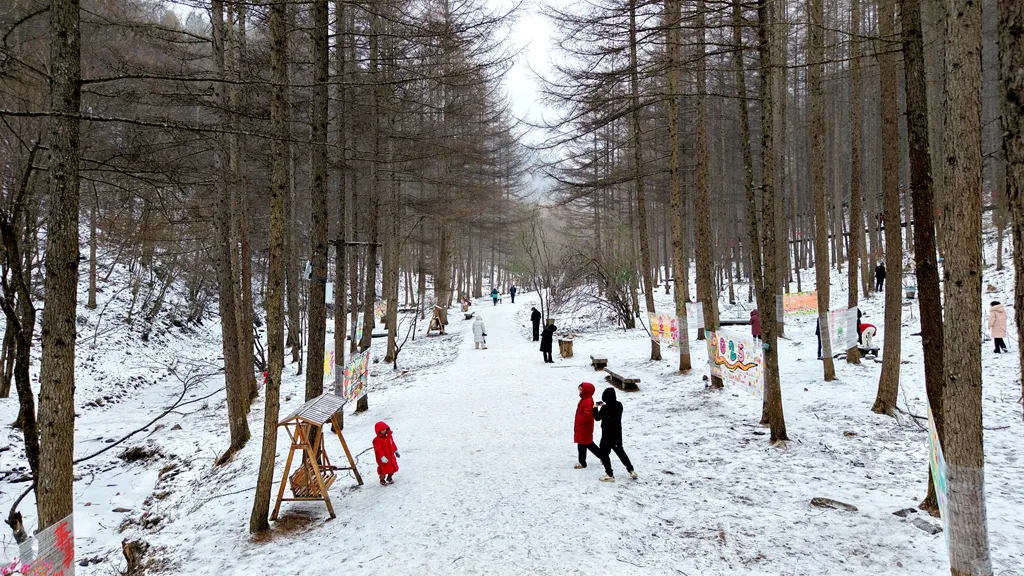 滑雪、戲雪、賞民俗！留壩景區(qū)“上才藝”