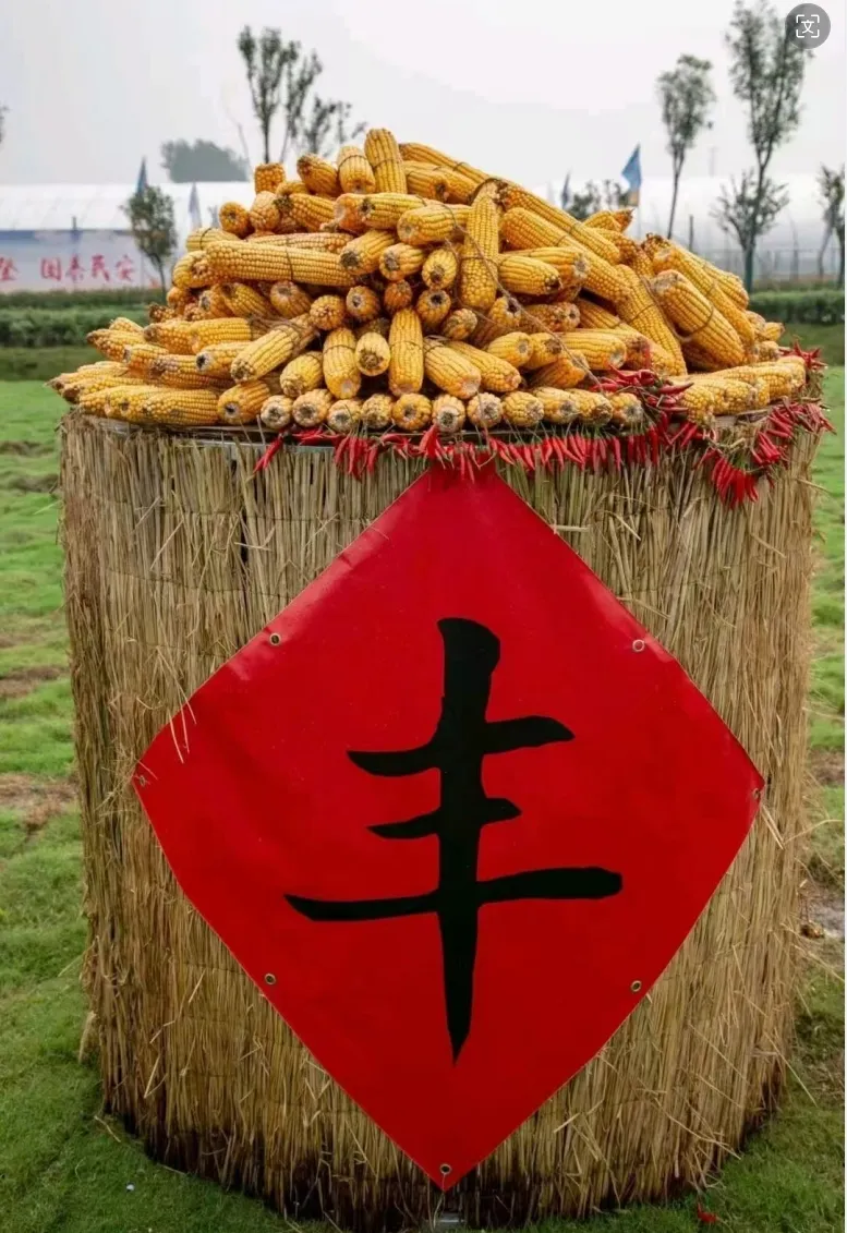 豐收了！豐收了！漢中熱鬧非凡→