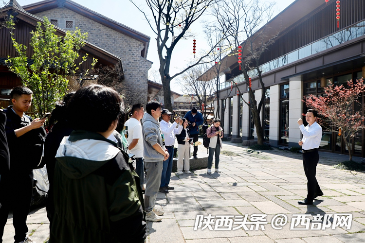 生態(tài)高顏值·發(fā)展高質(zhì)量｜油菜花、牡丹花、黑稻田 漢中洋縣有機(jī)產(chǎn)業(yè)有自己的“三原色”