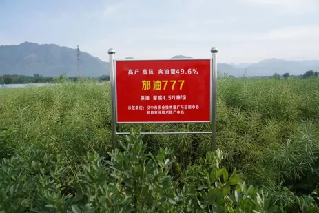 豐收了！豐收了！漢中熱鬧非凡→