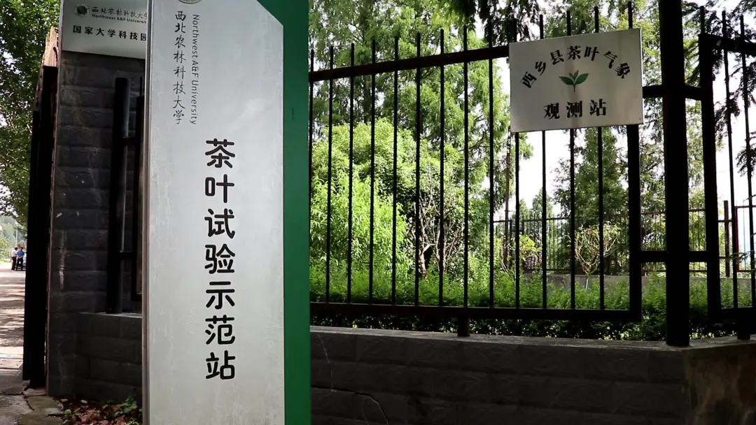 漢中首個！正式揭牌
