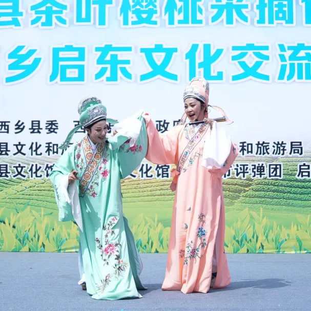 西鄉(xiāng)縣舉行2025茶葉櫻桃采摘體驗(yàn)活動(dòng)暨西鄉(xiāng)—啟東文化交流活動(dòng)
