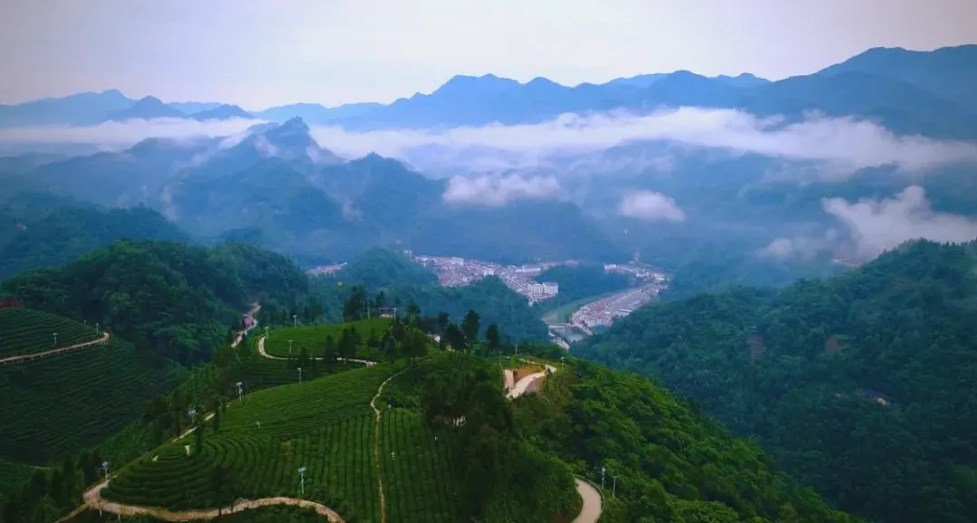 茶旅新地標！楮溪源景區(qū)帶你開啟茶旅融合新體驗！