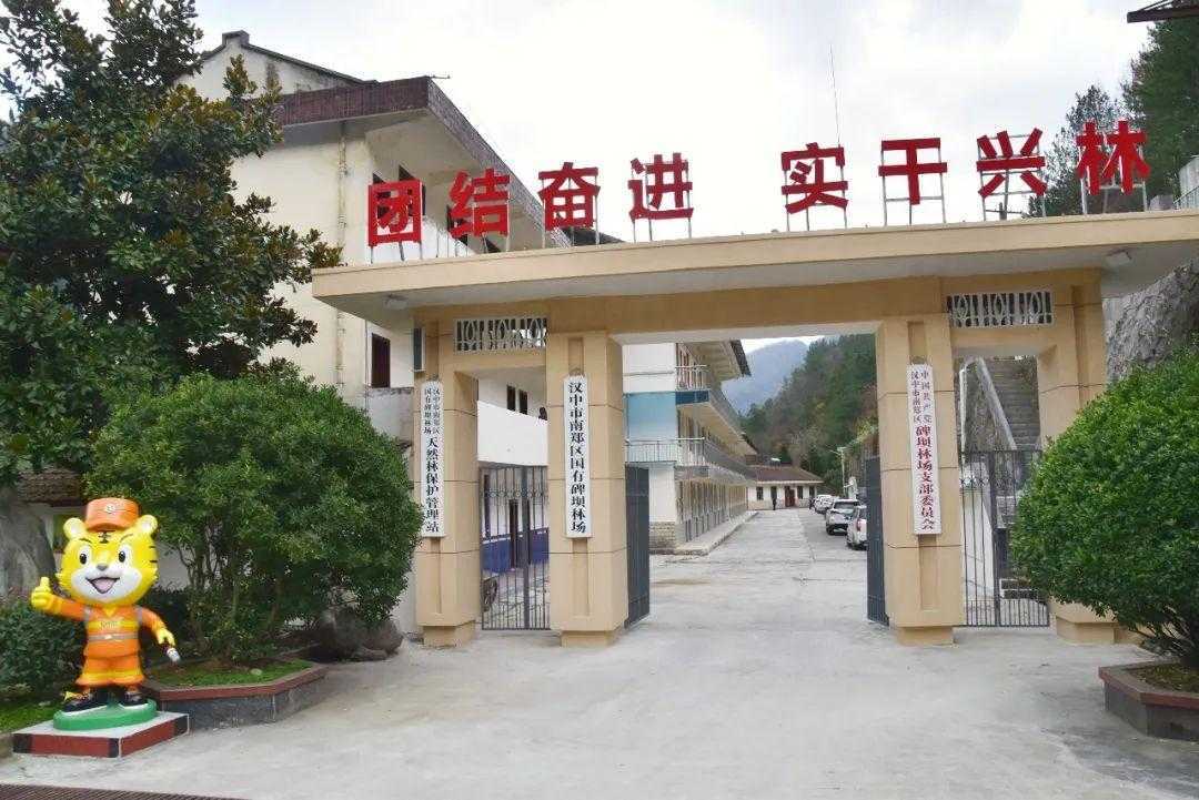 國(guó)家級(jí)榮譽(yù)！漢中這個(gè)林場(chǎng)入選→