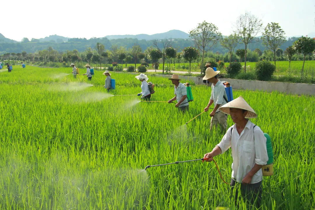 央視鏡頭對(duì)準(zhǔn)漢中！解鎖朱鹮故鄉(xiāng)鄉(xiāng)村振興的“生態(tài)密碼”→