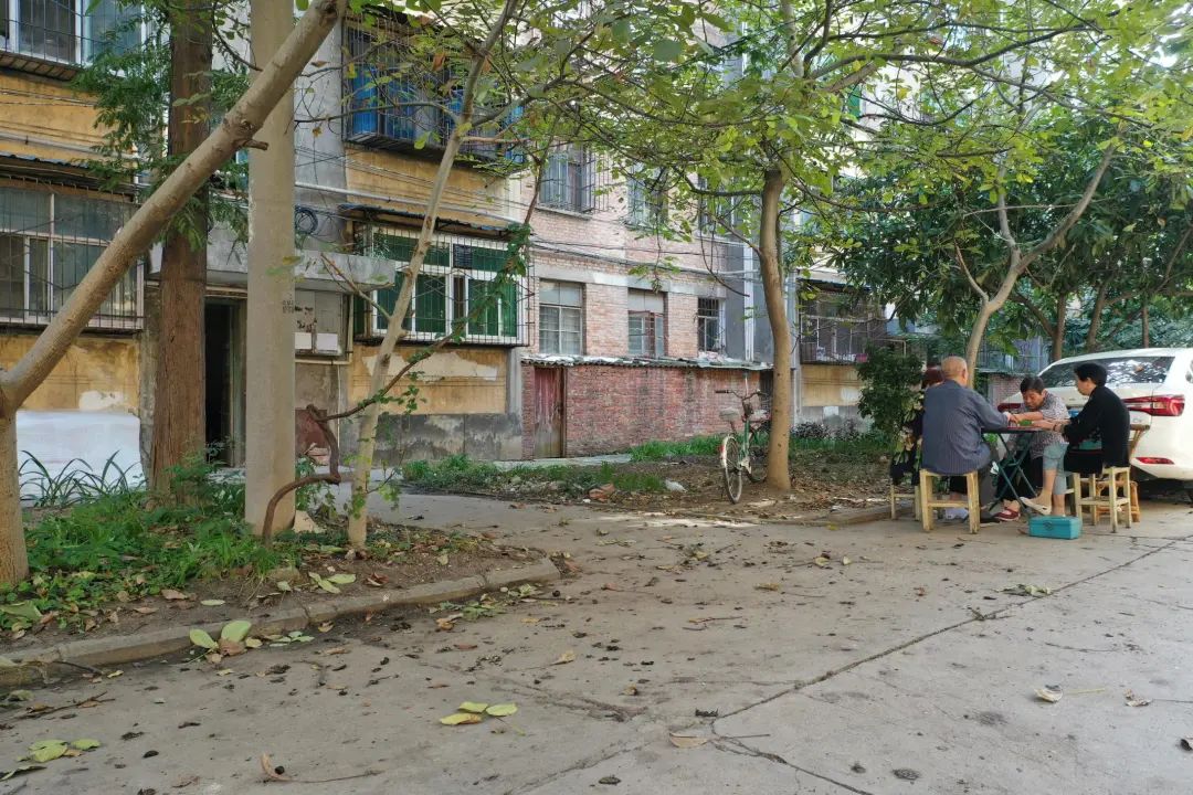 溫暖舊改！漢中老舊小區(qū)煥新顏！