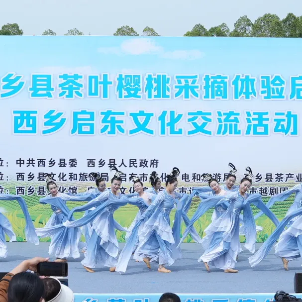 西鄉(xiāng)縣舉行2025茶葉櫻桃采摘體驗(yàn)活動(dòng)暨西鄉(xiāng)—啟東文化交流活動(dòng)