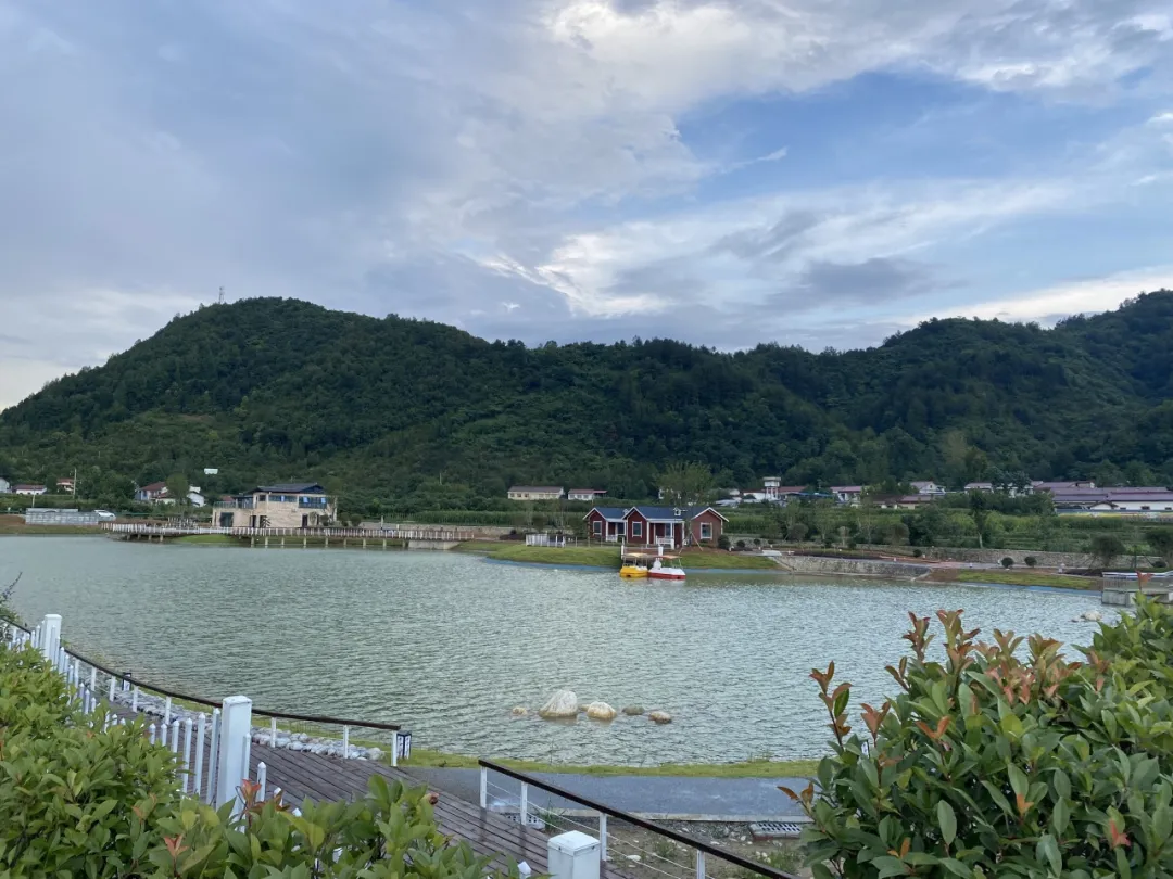 綠色致富！佛坪林麝養(yǎng)殖闖出雙贏鄉(xiāng)村振興路！