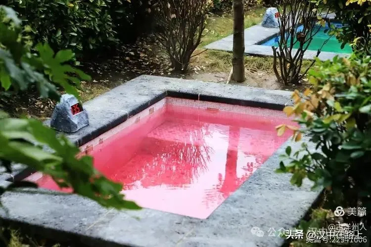 春節(jié)不遠(yuǎn)游！漢中這幾個地方嗨翻天