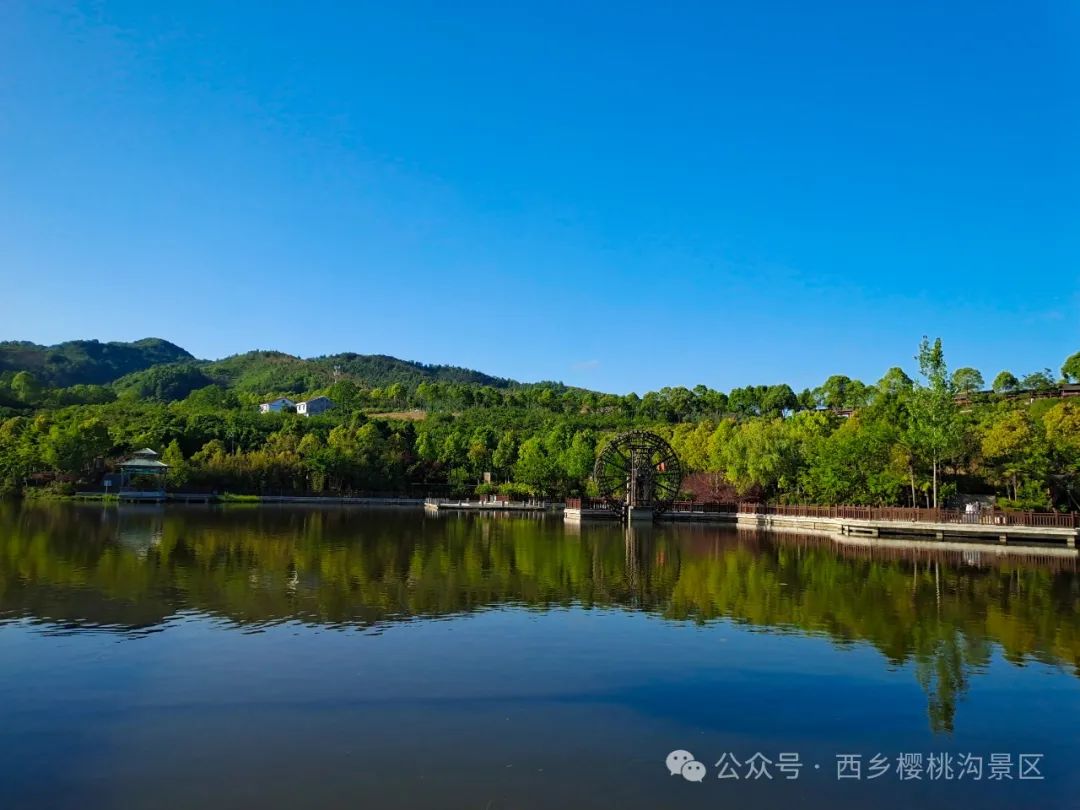 “櫻”你而來，“桃”你歡喜！西鄉(xiāng)櫻桃即將上市！
