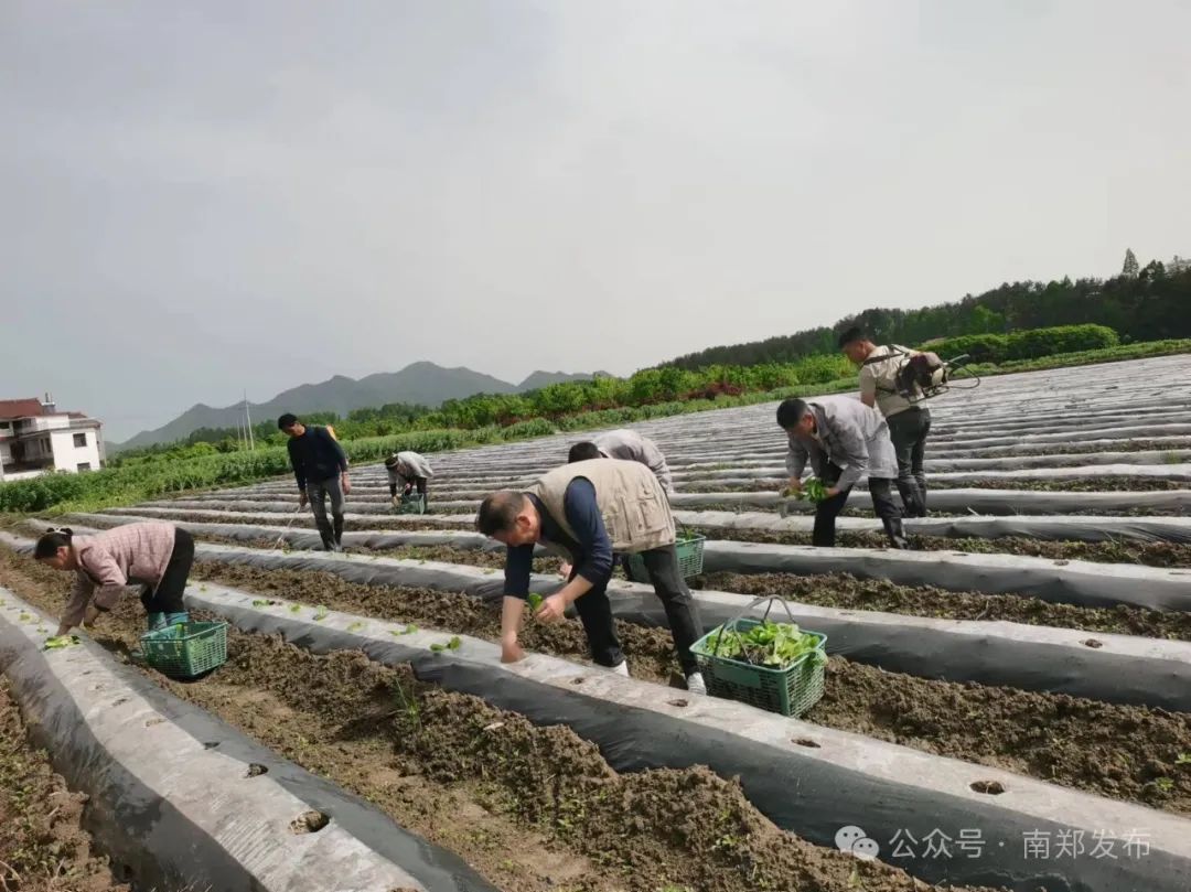 漢中這些地方，藏著令人向往的滿分初夏時光！