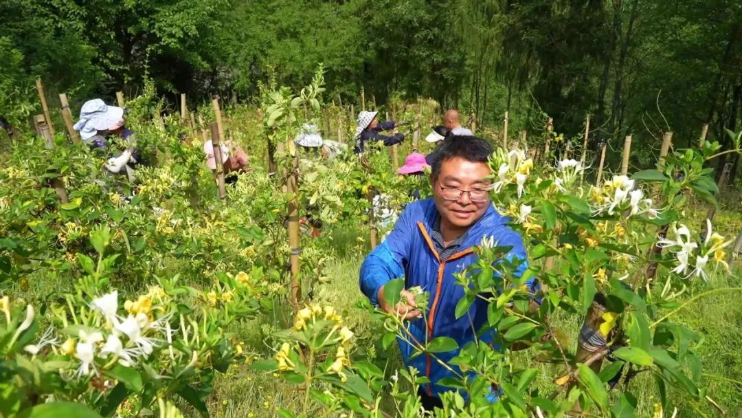 漢中這些地方，藏著令人向往的滿分初夏時光！