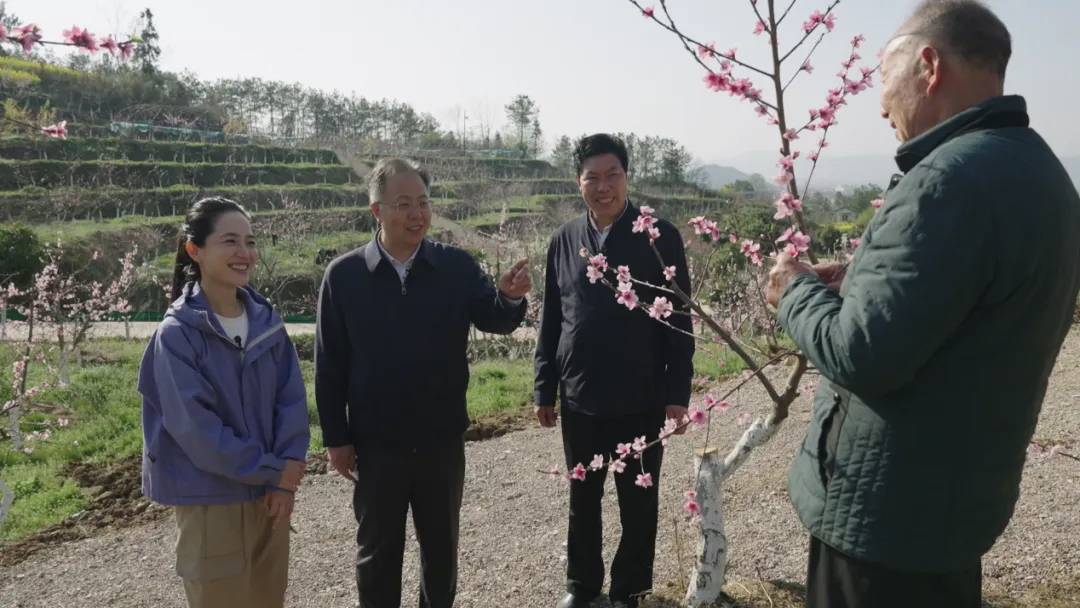 央視財(cái)經(jīng)關(guān)注！看漢中如何探索鄉(xiāng)村振興之路→