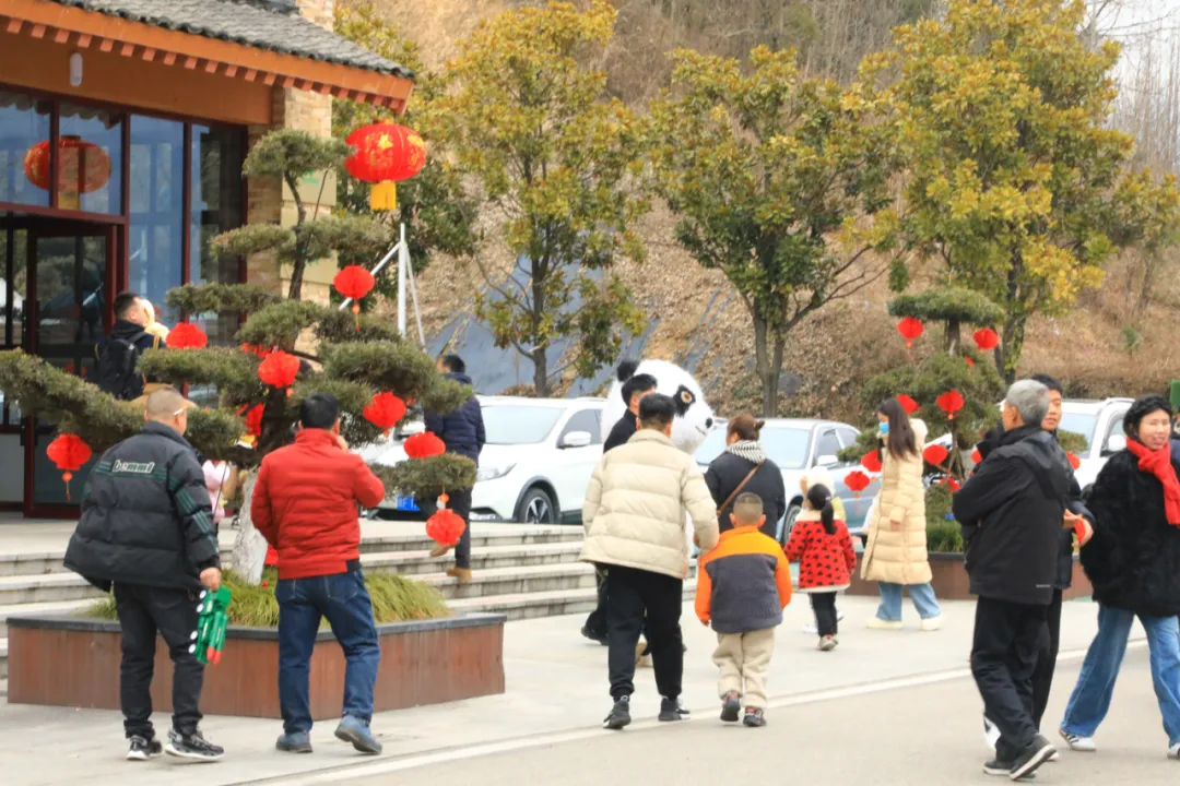 新年第一天，洋縣長青華陽景區(qū)迎來蛇年開門紅~