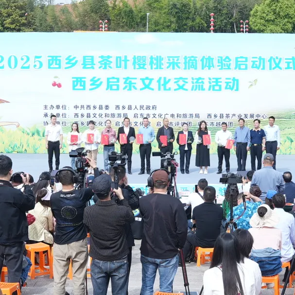 西鄉(xiāng)縣舉行2025茶葉櫻桃采摘體驗(yàn)活動(dòng)暨西鄉(xiāng)—啟東文化交流活動(dòng)