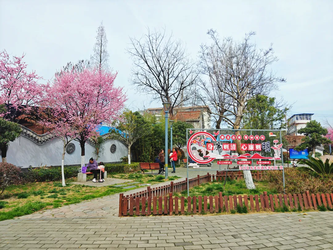 口袋公園：靚了城市，美了生活，暖了人心
