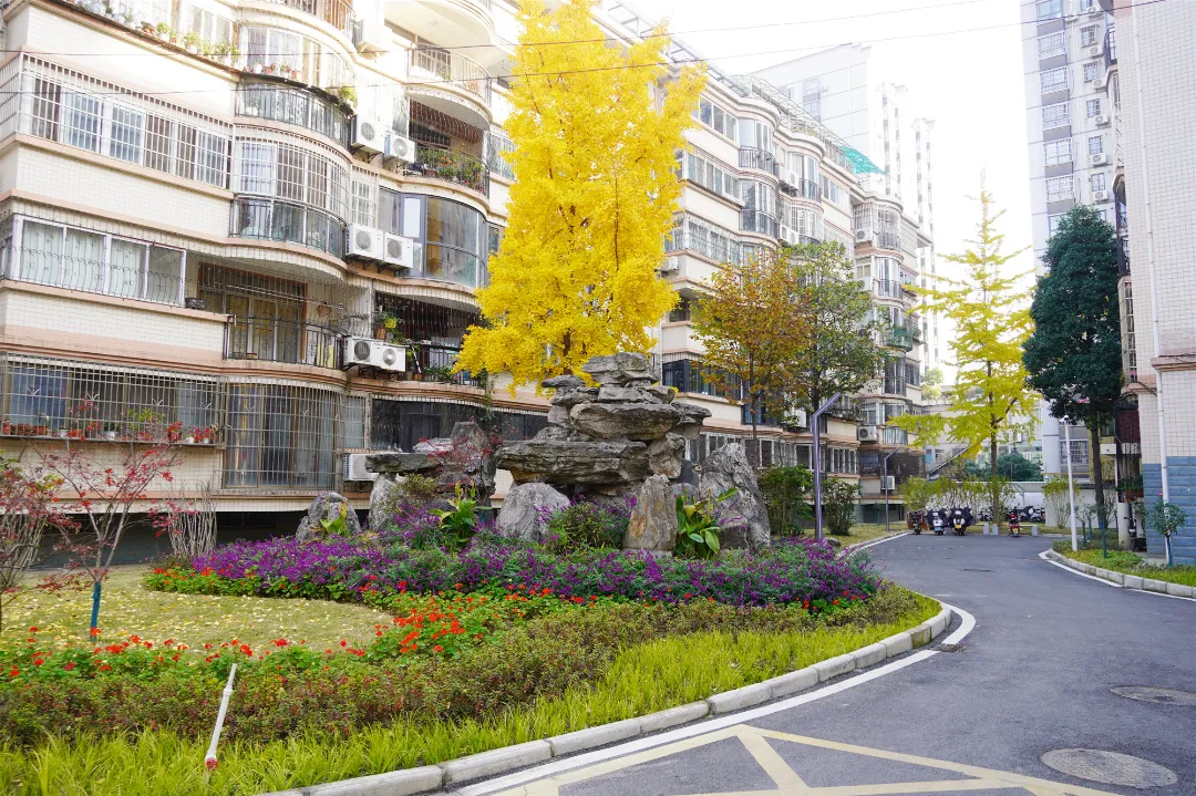 漢臺區(qū)漢中路街道：老舊小區(qū)改造，“改”到居民心坎上