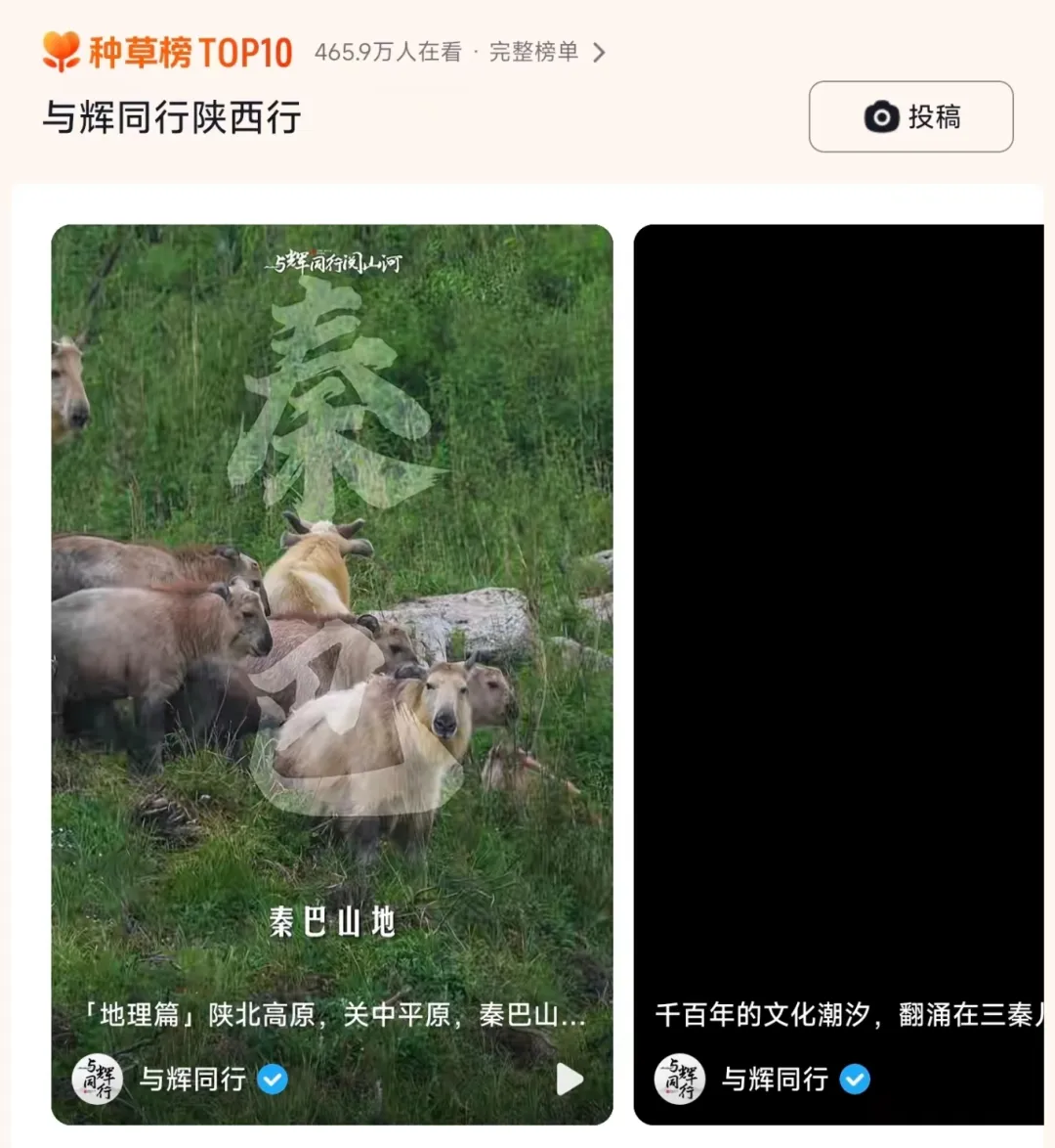 董宇輝漢中站2468萬(wàn)觀看！帶貨6600萬(wàn)！