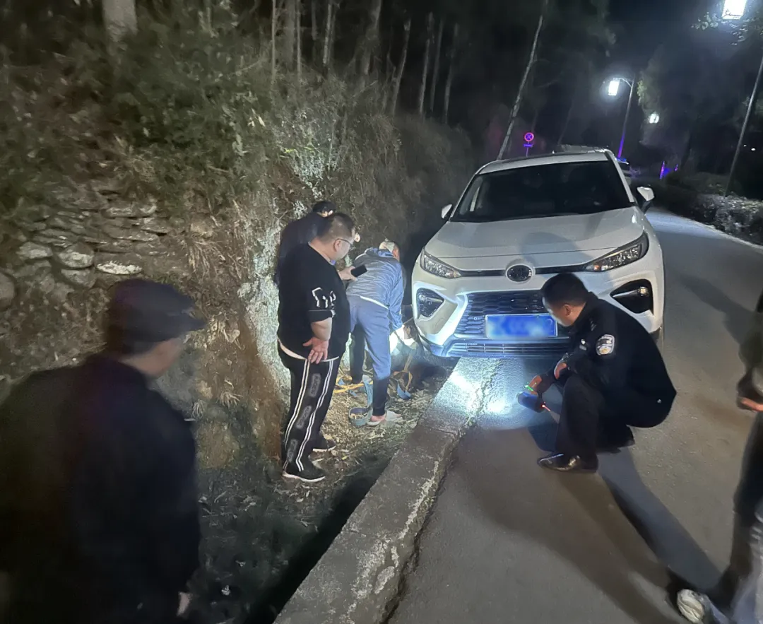 游客車陷水溝，漢中警民合力助脫困
