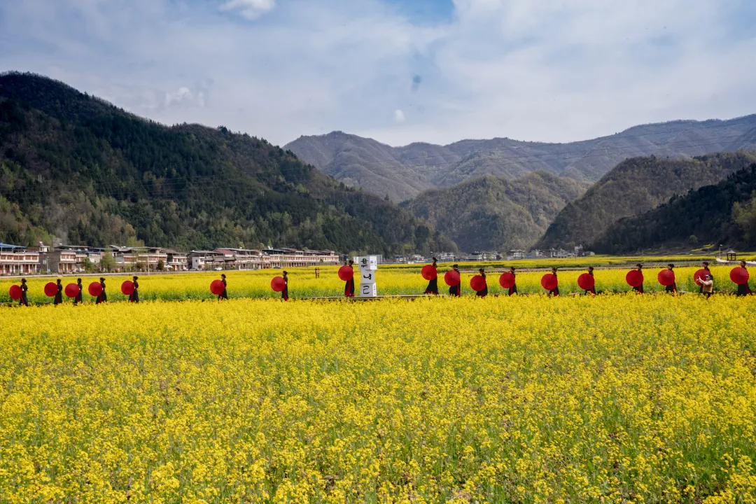2025漢中鎮(zhèn)巴春日盛宴，解鎖油菜花海文旅新玩法！
