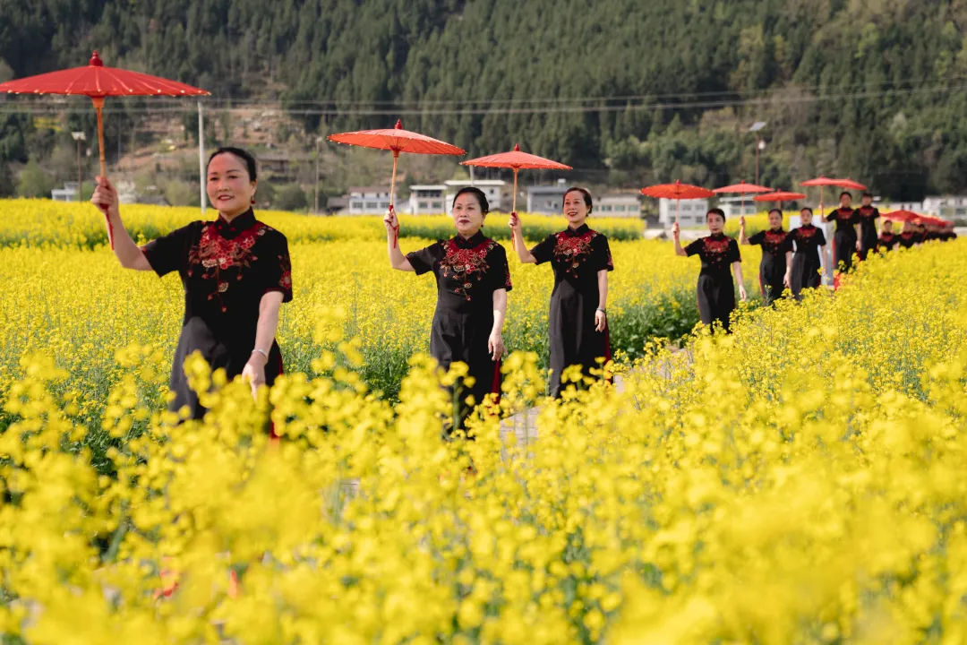 2025漢中鎮(zhèn)巴春日盛宴，解鎖油菜花海文旅新玩法！
