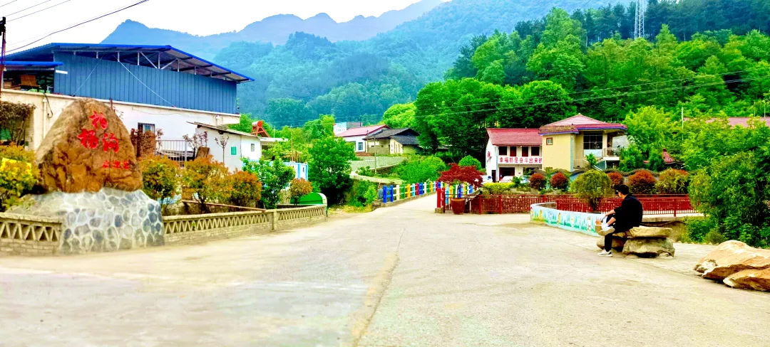漢中“巾幗美家”示范村來啦，快看有沒有你們村~