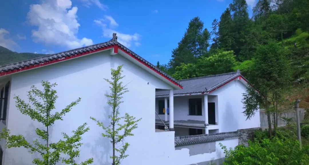 茶旅新地標！楮溪源景區(qū)帶你開啟茶旅融合新體驗！