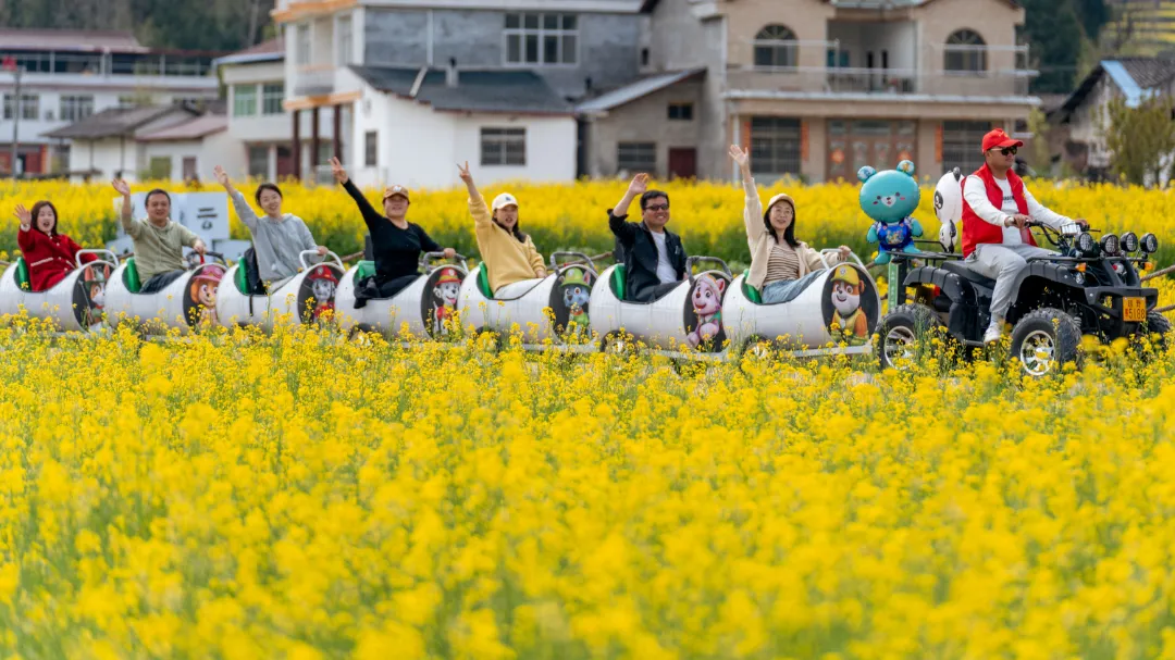 2025漢中鎮(zhèn)巴春日盛宴，解鎖油菜花海文旅新玩法！