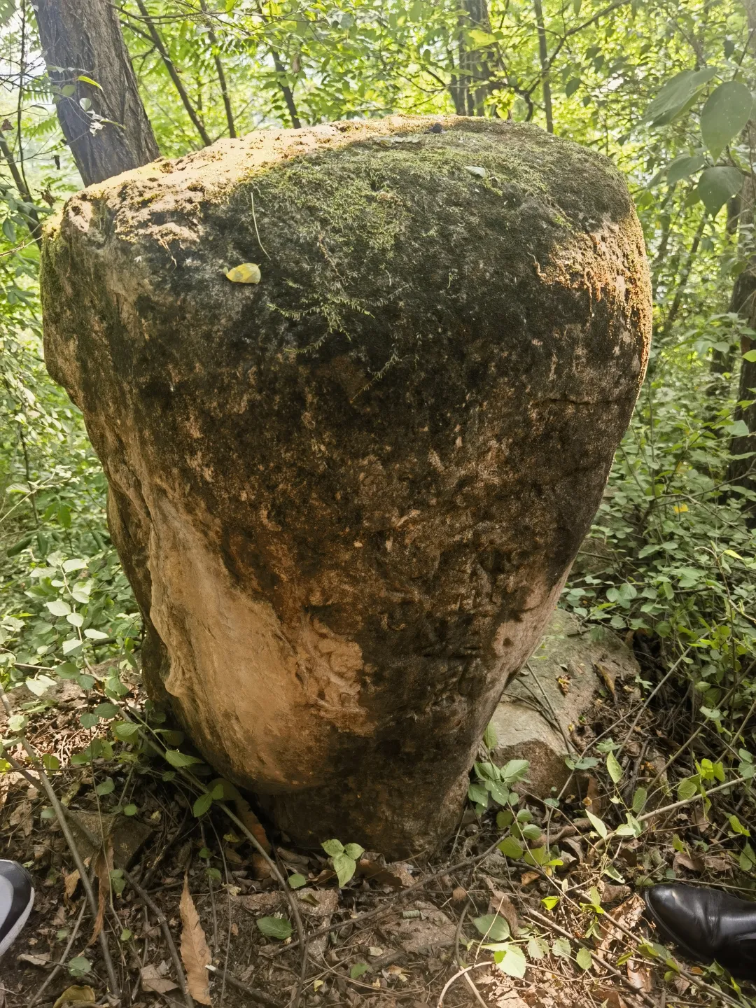 西鄉(xiāng)發(fā)現(xiàn)一尊疑似宋金時(shí)期石刻頭像