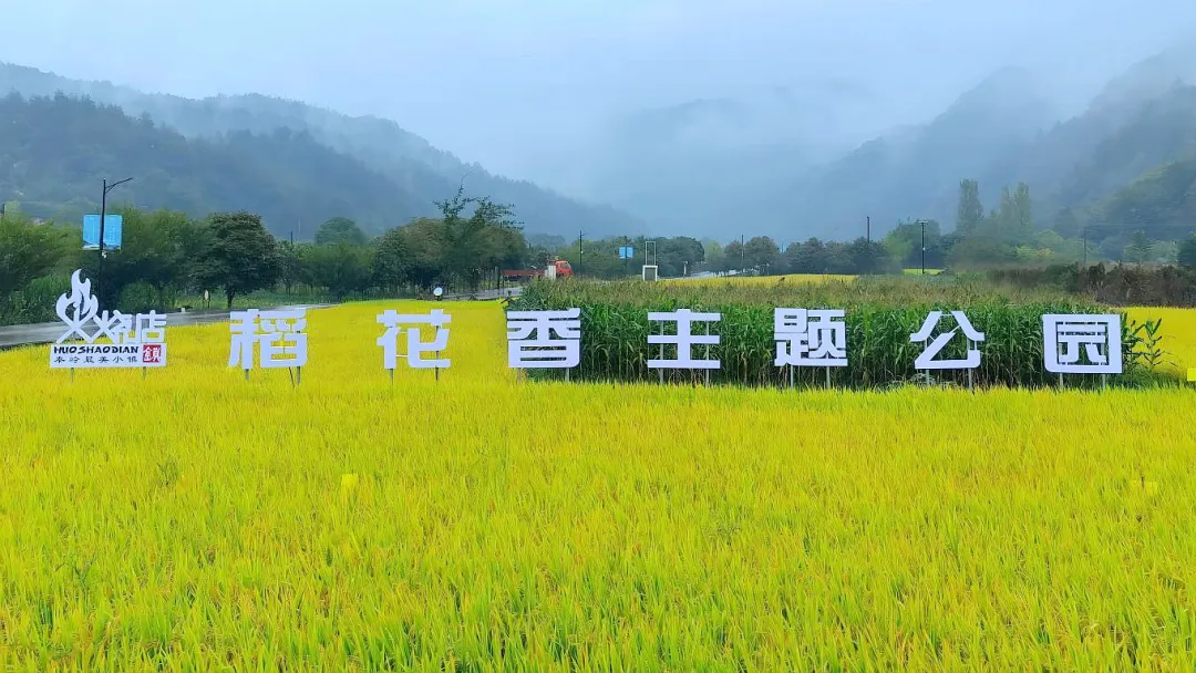 點贊！留壩休閑農(nóng)業(yè)發(fā)展經(jīng)驗在全省交流