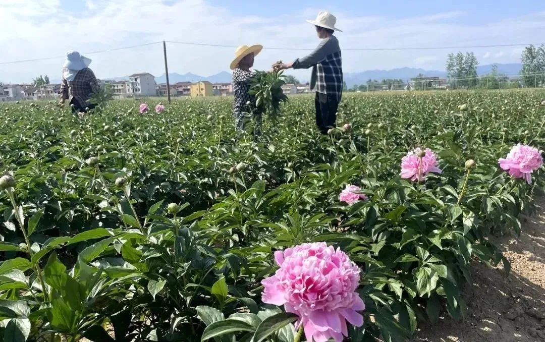 漢中這些地方，藏著令人向往的滿分初夏時光！