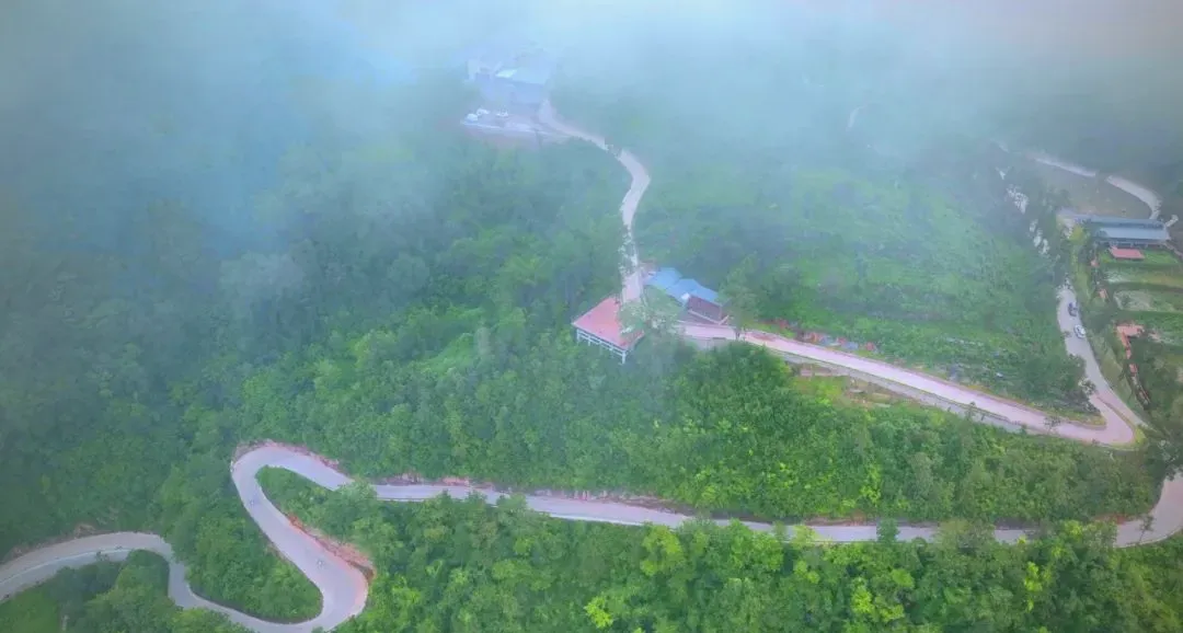 茶旅新地標！楮溪源景區(qū)帶你開啟茶旅融合新體驗！
