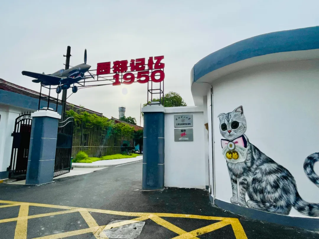 收藏！2025漢中春節(jié)最全文旅活動指南來了