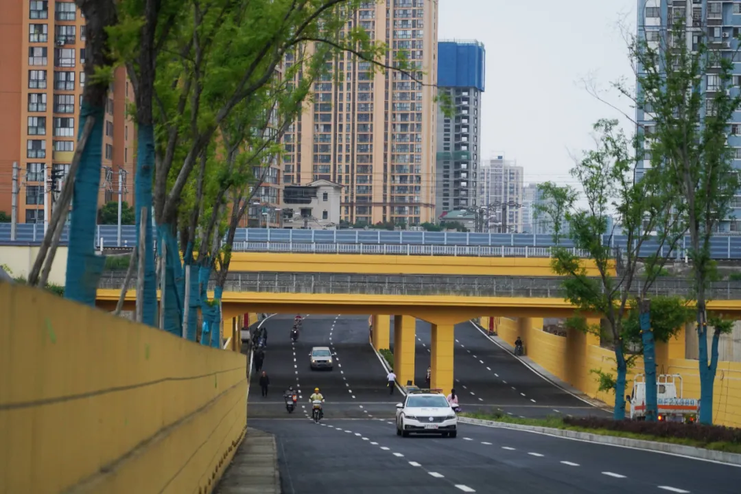 出行方便了！漢中興漢新區(qū)惠府路主車道通車！